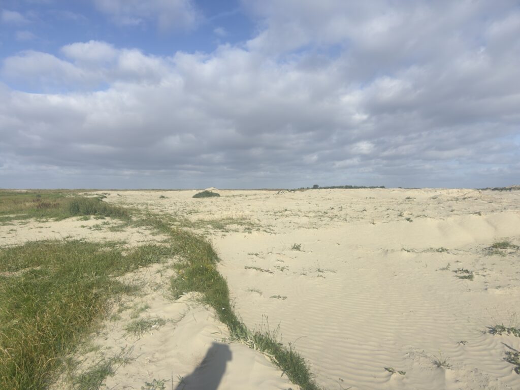 Lieblingskoog - hinter dem alten Hafen in Friedrichskoog