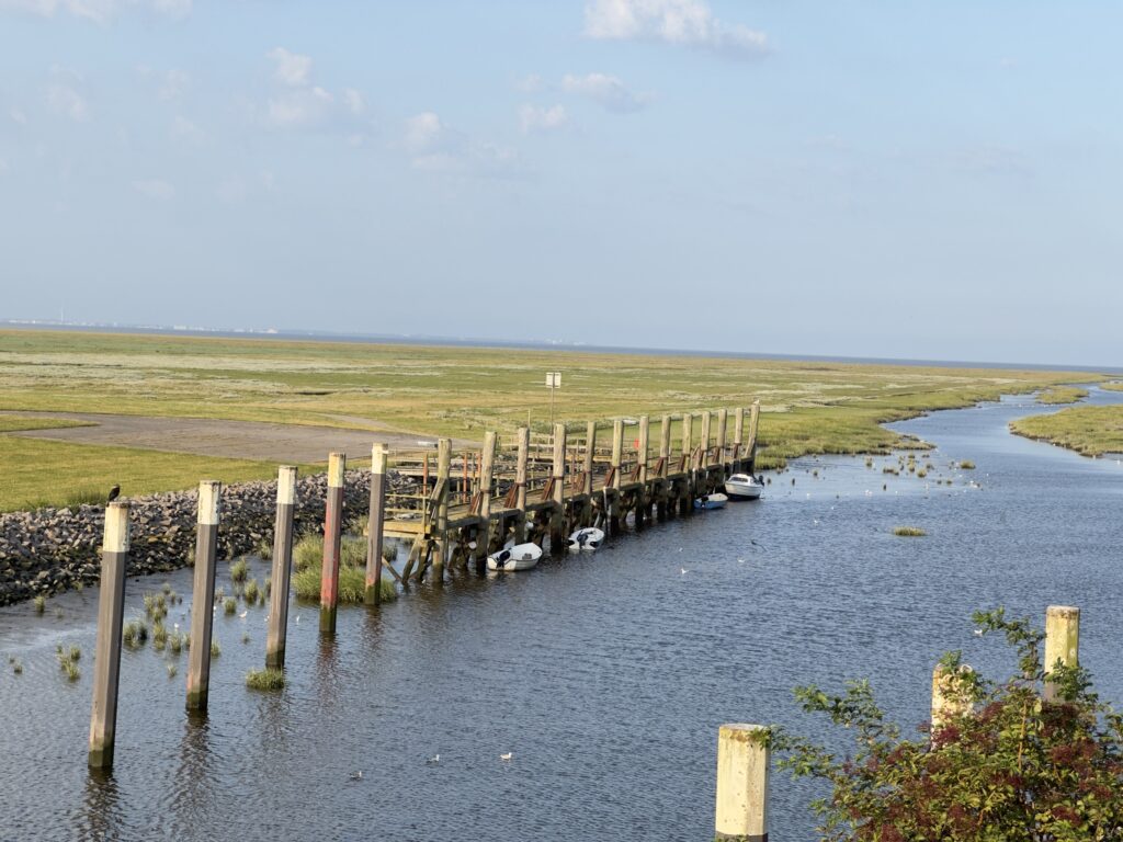 Lieblingskoog - hinter dem alten Hafen in Friedrichskoog - Fahrrinne