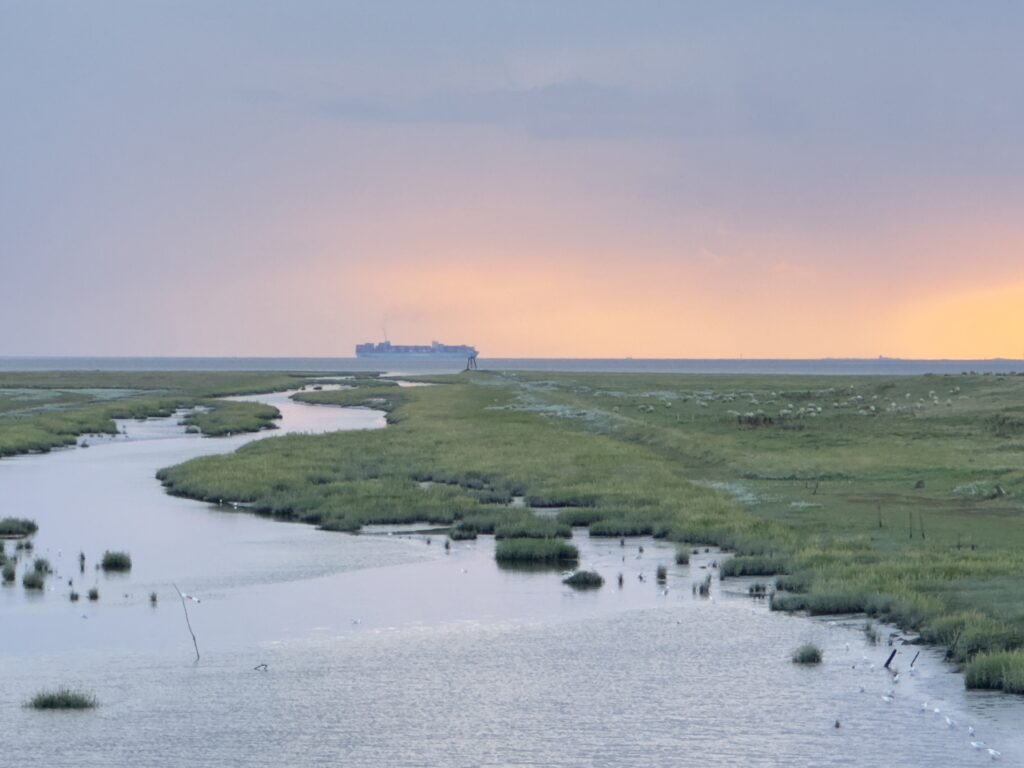Lieblingskoog - hinter dem alten Hafen in Friedrichskoog - Fahrrinne 2