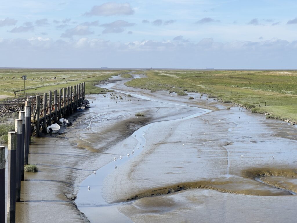 Lieblingskoog - hinter dem alten Hafen in Friedrichskoog - Fahrrinne bei Ebbe