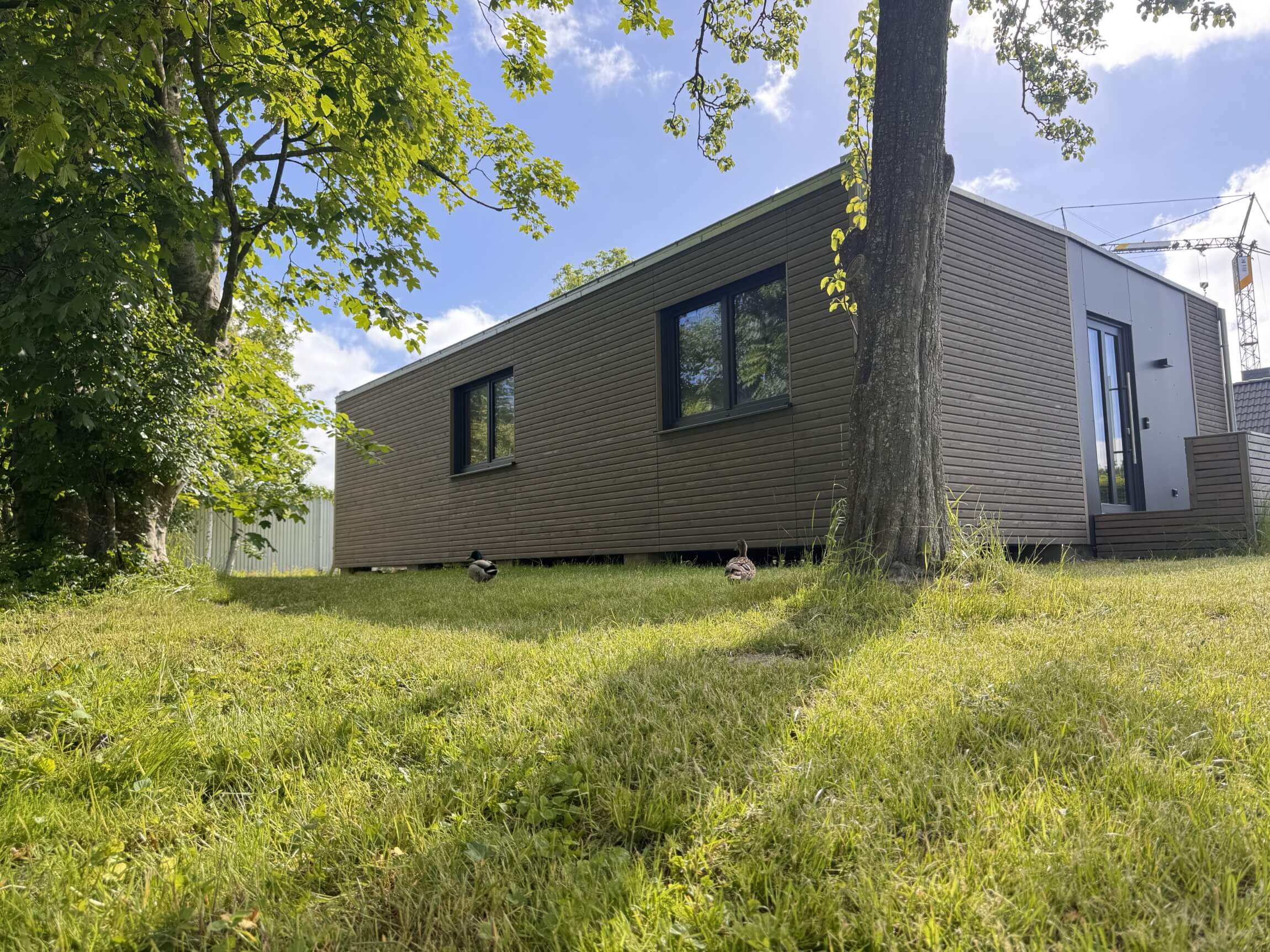 Ferienhaus Lieblingskoog in Friedrichskoog – Aussen Rückseite